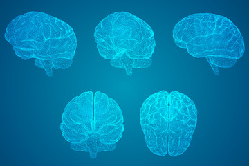 英语启蒙必备儿歌