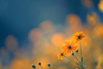 电话工作人员回访客户有哪些原则