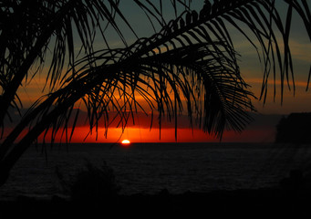 幼儿园课程设计包括哪些要素