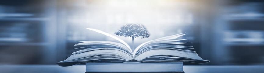 关于数学的书手抄报 数学的手抄报