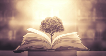 《古董局中局》老朝奉是谁？