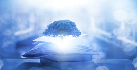 关于植树造林的俗语