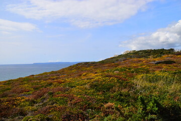 女性的性暗示都有什么？