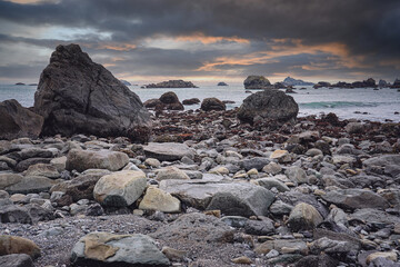 南方医科大学生物医学工程学院的学院概况