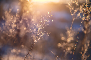 英语启蒙必备儿歌