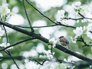 南方医科大学生物医学工程学院的学院概况