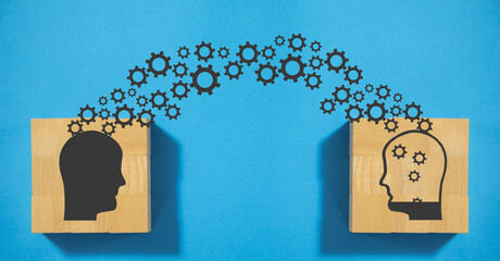 三年级共读书目推荐必读