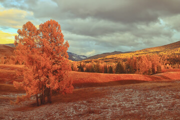 英语启蒙必备儿歌