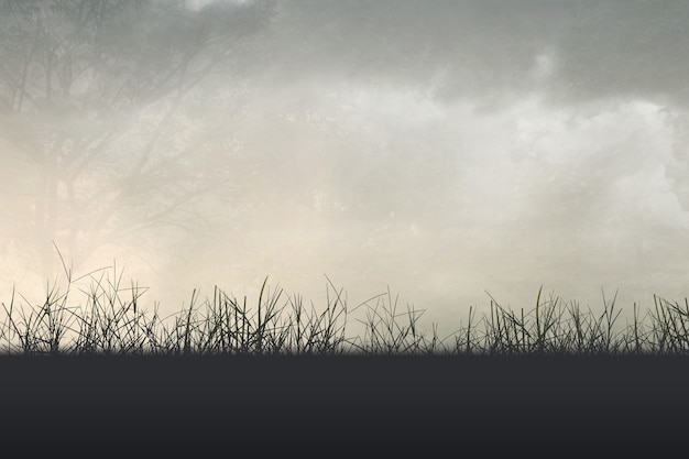 关于数学的书手抄报 数学的手抄报