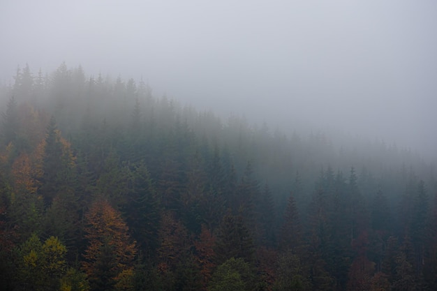 姐妹聚会发朋友圈说说