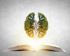 关于植树造林的俗语