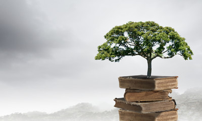 南方医科大学生物医学工程学院的学院概况