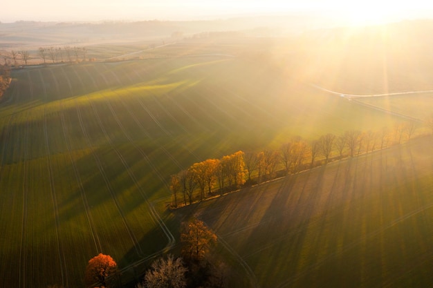 员工需改进方面怎么写