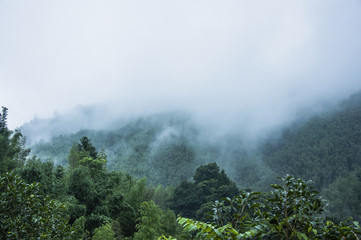 英语启蒙必备儿歌